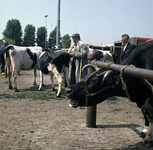 859501 Afbeelding van de veemarkt aan de Croeselaan te Utrecht.